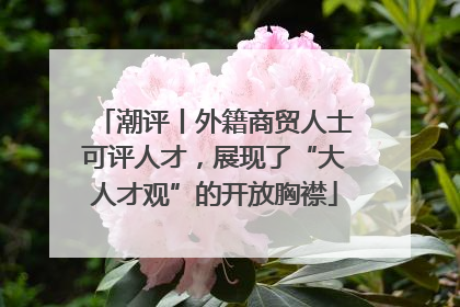 潮评丨外籍商贸人士可评人才，展现了“大人才观”的开放胸襟